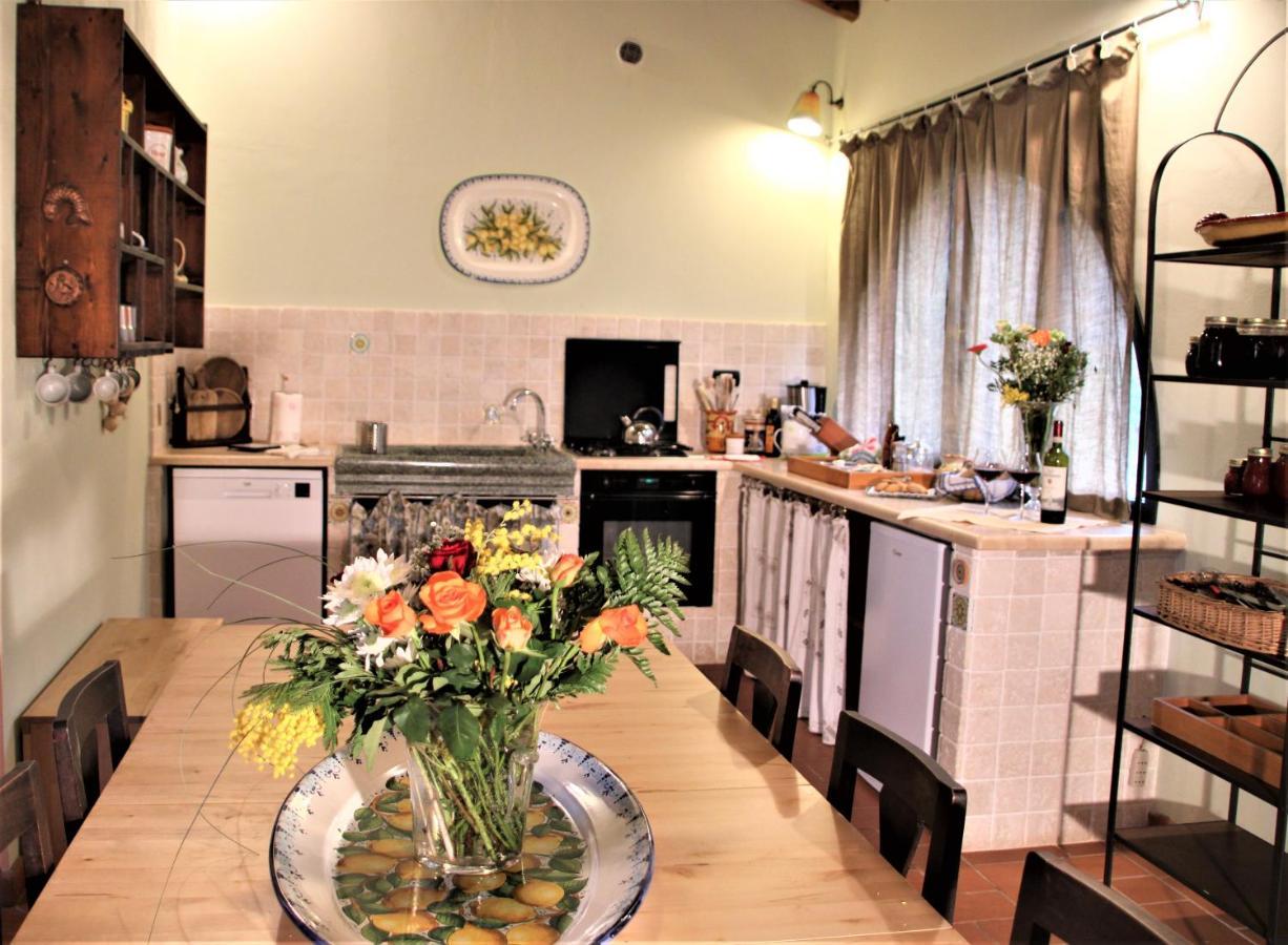 Mulino Di Rimaggio - Antico Mulino In Toscana Cavriglia Kültér fotó